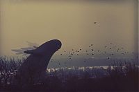 TopRq.com search results: Illustration and photomanipulation by Dmitry Maximov