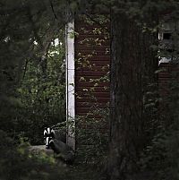 Art & Creativity: House in the Woods by Kai Fagerström