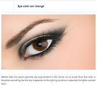 TopRq.com search results: interesting facts about eyes