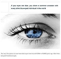 TopRq.com search results: interesting facts about eyes