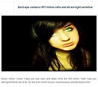 TopRq.com search results: interesting facts about eyes