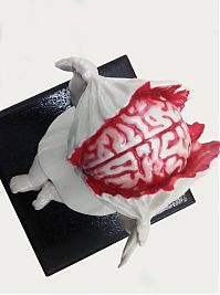 Art & Creativity: Gore porcelain sculptures by Maria Rubinke