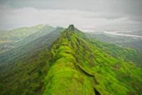 Art & Creativity: tilt-shift photography