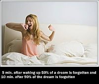 interesting facts