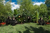 Art & Creativity: Montreal International Mosaicultures 2013 Show Exhibition, Montreal Botanical Garden, Quebec, Canada