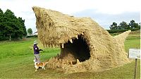 Art & Creativity: straw art