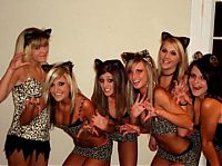 TopRq.com search results: young teen college girls at halloween parties