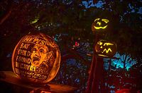 Art & Creativity: pumpkin carving art