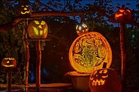 Art & Creativity: pumpkin carving art