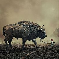 Art & Creativity: Photo manipulation by Caras Ionut