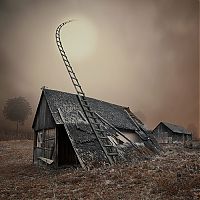 TopRq.com search results: Photo manipulation by Caras Ionut