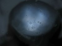 TopRq.com search results: Snowflakes macro photography by Alexey Kljatov