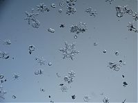 Art & Creativity: Snowflakes macro photography by Alexey Kljatov