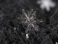 Art & Creativity: Snowflakes macro photography by Alexey Kljatov