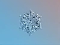 Art & Creativity: Snowflakes macro photography by Alexey Kljatov