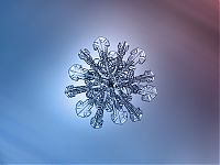 TopRq.com search results: Snowflakes macro photography by Alexey Kljatov