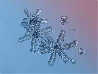 Art & Creativity: Snowflakes macro photography by Alexey Kljatov