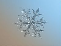 Art & Creativity: Snowflakes macro photography by Alexey Kljatov