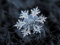 TopRq.com search results: Snowflakes macro photography by Alexey Kljatov