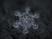 TopRq.com search results: Snowflakes macro photography by Alexey Kljatov