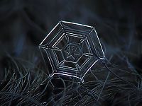 Art & Creativity: Snowflakes macro photography by Alexey Kljatov