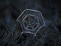 TopRq.com search results: Snowflakes macro photography by Alexey Kljatov