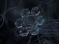 Art & Creativity: Snowflakes macro photography by Alexey Kljatov