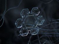 TopRq.com search results: Snowflakes macro photography by Alexey Kljatov