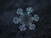 Art & Creativity: Snowflakes macro photography by Alexey Kljatov