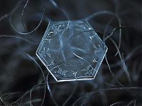 Art & Creativity: Snowflakes macro photography by Alexey Kljatov