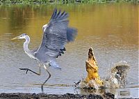 Art & Creativity: National Geographic Photo Contest 2013