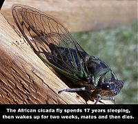 interesting facts