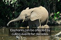 interesting facts