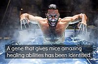 interesting facts