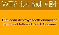 Art & Creativity: interesting facts about body