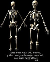 interesting facts