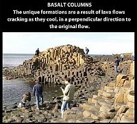 interesting facts about nature