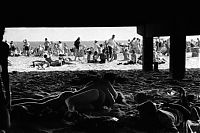 Art & Creativity: Brooklyn Gang by Bruce Davidson