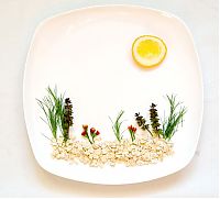 TopRq.com search results: Food art by Hong Yi