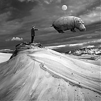 TopRq.com search results: Surreal photography manipulations by Dariusz Klimczak