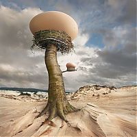 TopRq.com search results: Surreal photography manipulations by Dariusz Klimczak