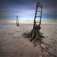 TopRq.com search results: Surreal photography manipulations by Dariusz Klimczak