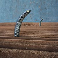 TopRq.com search results: Surreal photography manipulations by Dariusz Klimczak