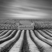 TopRq.com search results: Surreal photography manipulations by Dariusz Klimczak