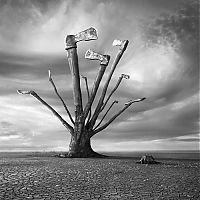 Art & Creativity: Surreal photography manipulations by Dariusz Klimczak