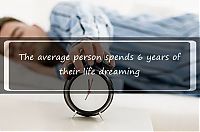 TopRq.com search results: interesting facts about sleeping