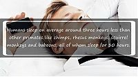 TopRq.com search results: interesting facts about sleeping