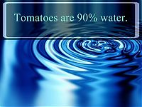 Art & Creativity: interesting facts about water