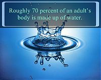 Art & Creativity: interesting facts about water