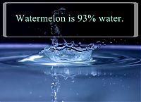 Art & Creativity: interesting facts about water